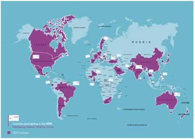 Undiagnosed diseases: Needs and opportunities in 20 countries participating in the Undiagnosed Diseases Network International